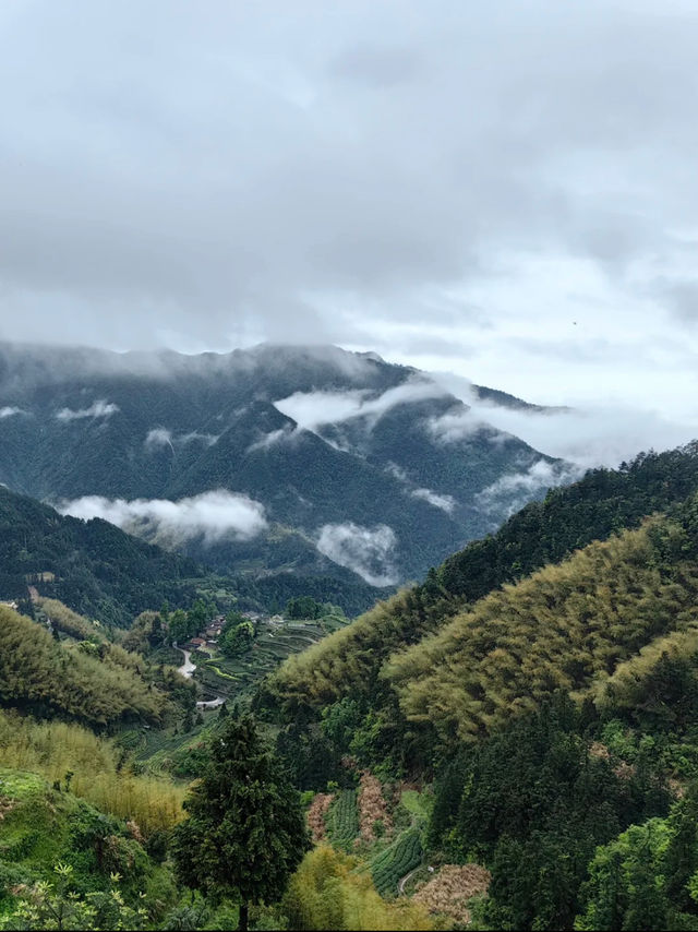 麗水仙都3日 雨中的江南秘境