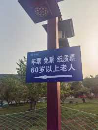 洛陽龍門石窟一日遊