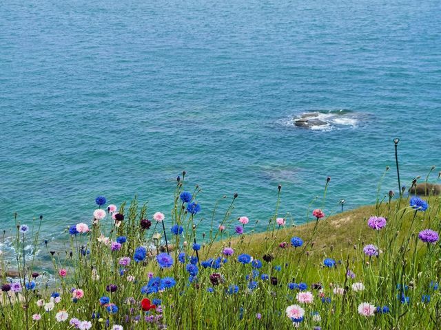 青島秘境：面朝大海，春暖花開