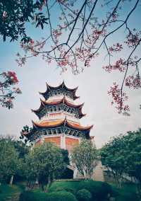 反向旅遊日記《開遠·2》