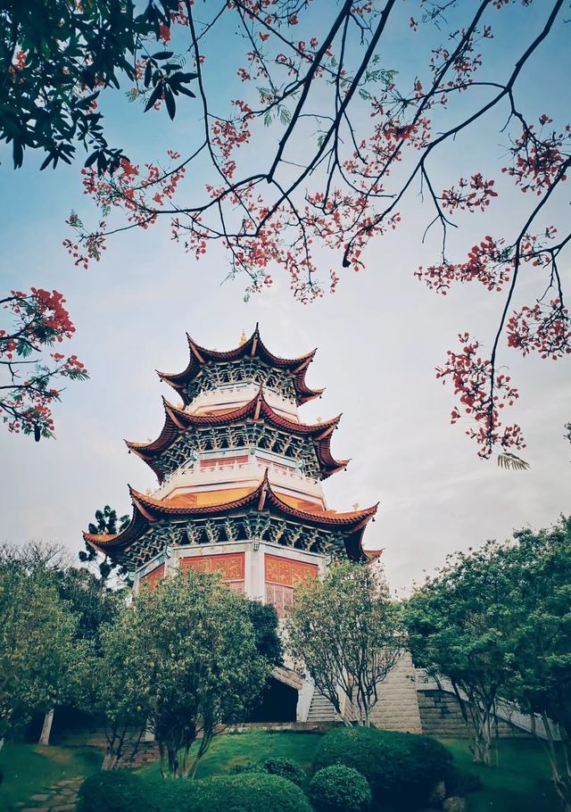 反向旅遊日記《開遠·2》
