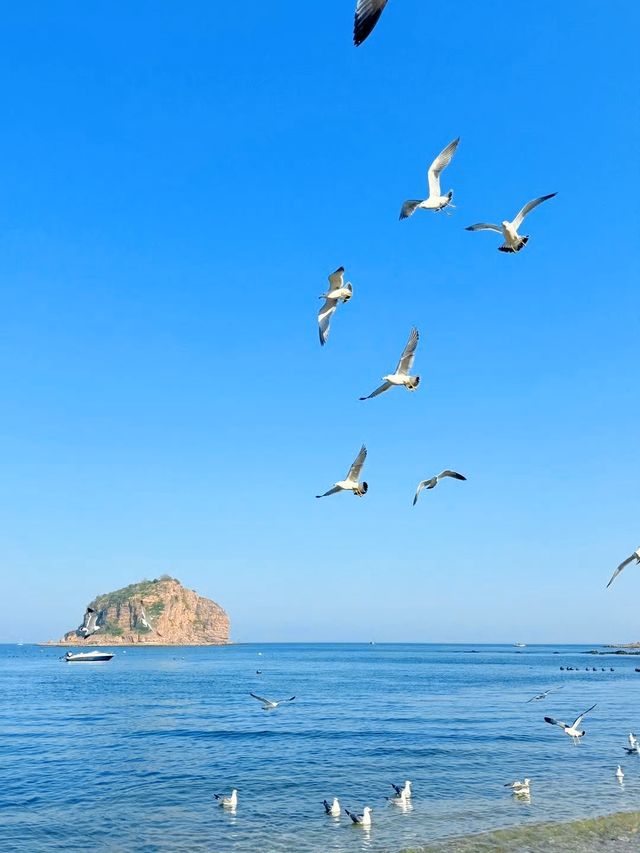 來棒棰島，告訴你海的味道