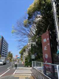 有自動扶梯的八事興正寺