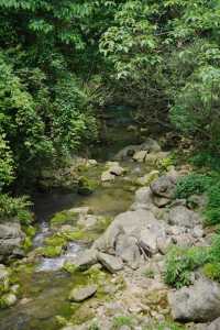 宜昌冷門寶藏打卡地：三峽九鳳谷，一個有很多瀑布的地方