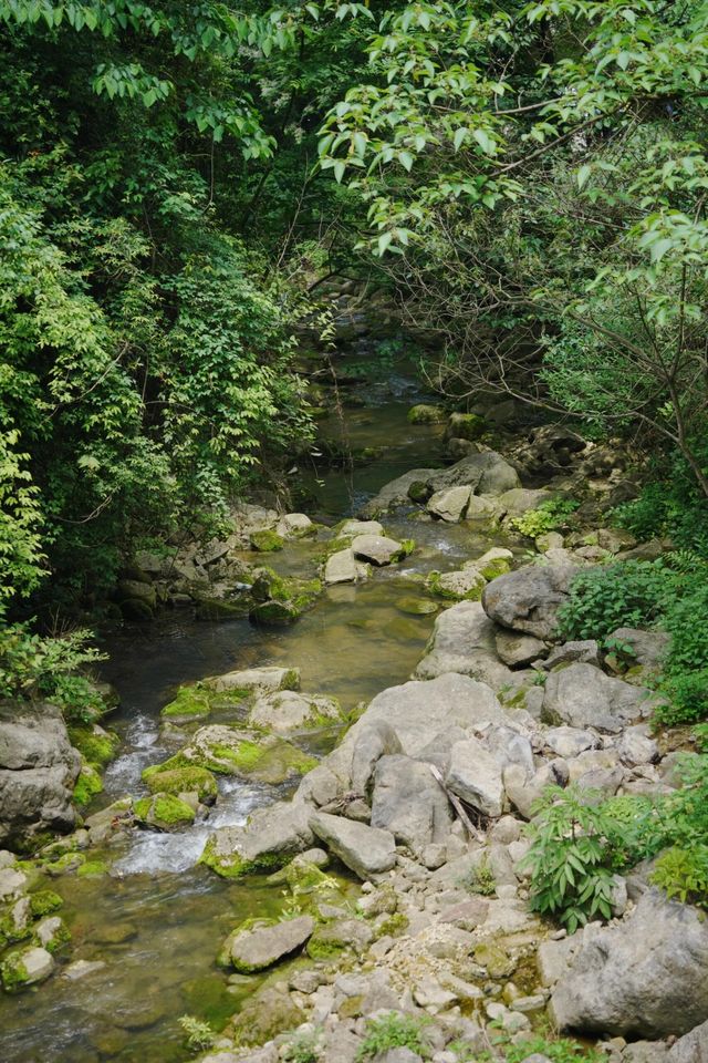 宜昌冷門寶藏打卡地：三峽九鳳谷，一個有很多瀑布的地方
