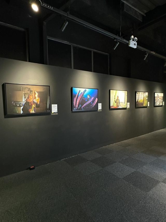 杭州看展→自在出色的女性力量
