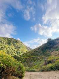 我在洛杉矶找到了風之谷｜Wildwood 遠足