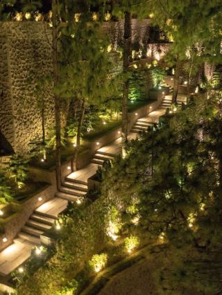 🌄 Kasauli's Hidden Gem: Luxury Amidst Nature 🏞️