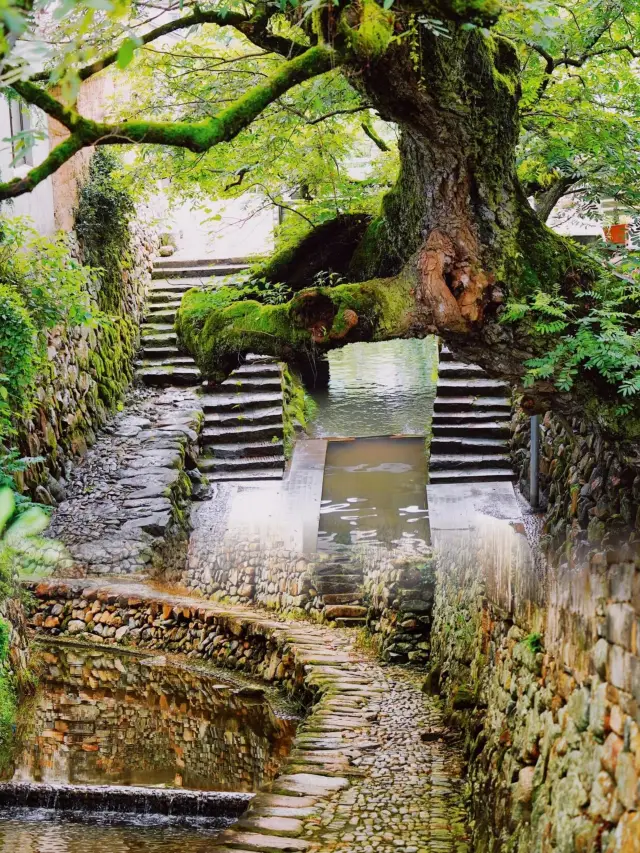 2024 Essential Exploration: Ningbo Ninghai, a stunningly beautiful place hidden by time