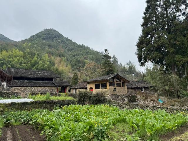 徐岙底古村：溫州十大最美歷史文化古村之一