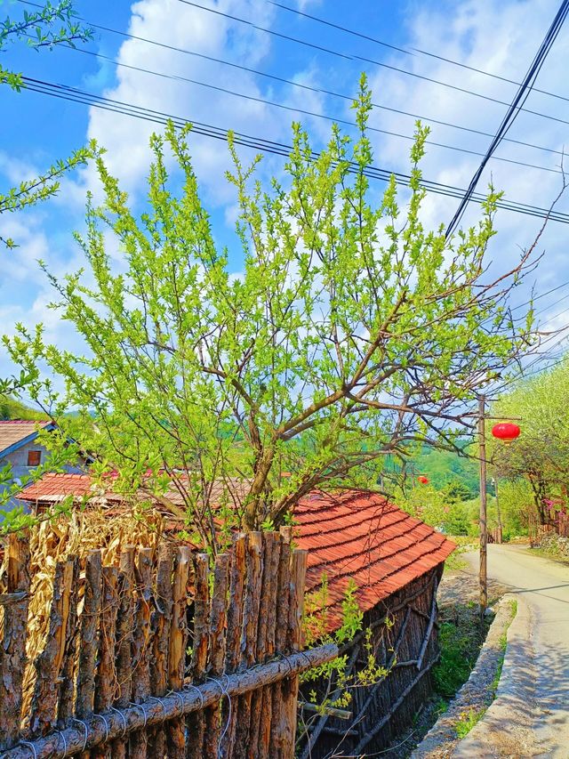 吉林|這是省內最美的原生態古村落！