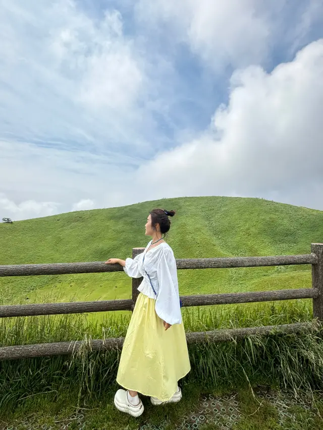 Tokyo + Izu (Tokyo's surrounding coast) 6 days and 5 nights