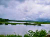 珍寶島森林公園