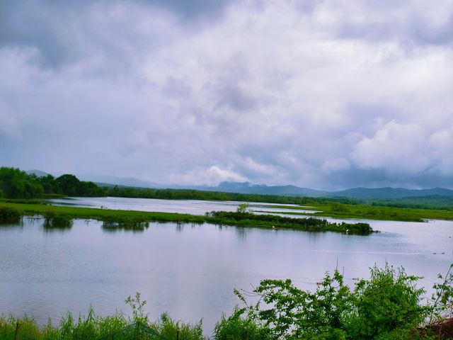 珍寶島森林公園
