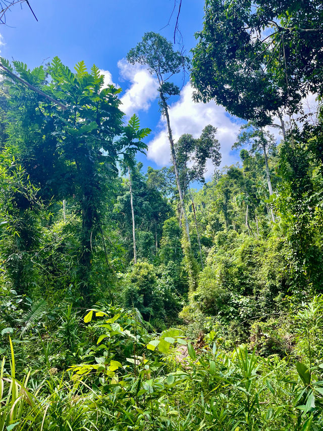 Pamuayan Waterfall - Port Barton 