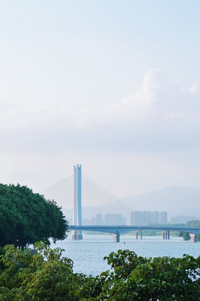 到惠州市區去看「海」