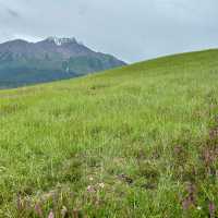 Loving the sea of green—Zhuo'er Mountain, the "Eastern Switzerland"