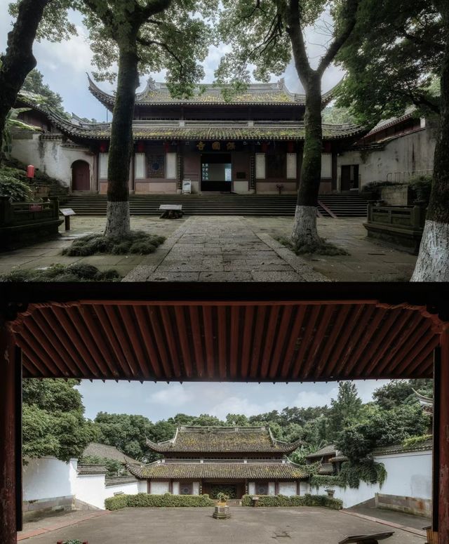 大樂之野·勿舍|江南古鎮中的日式風庭院