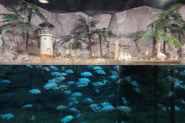 湘湖旁邊隱藏著的海洋館