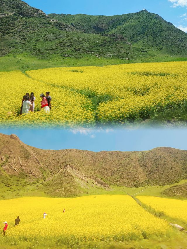 給第一次來甘南旅行的條建議