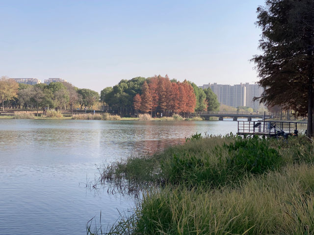 遠香湖秋色