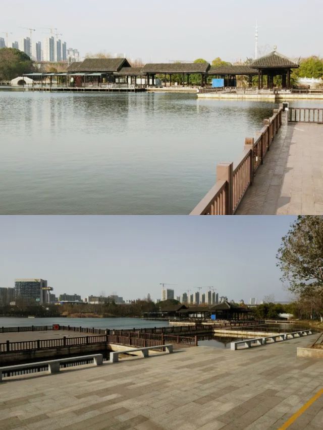 長沙周邊遊——洋湖濕地公園