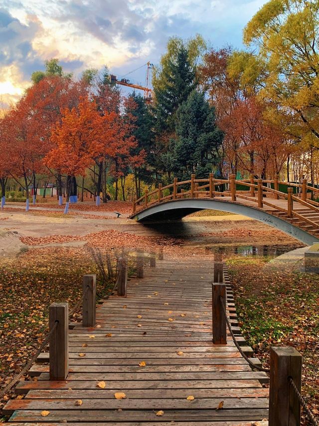 太陽島｜哈爾濱的莫奈花園