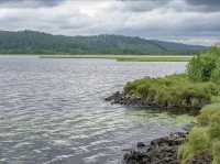 阿爾山的杜鵑湖，不去，人生會留遺憾