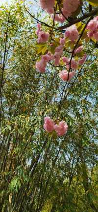 十里河灘