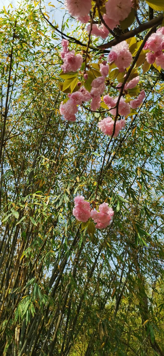 十里河灘