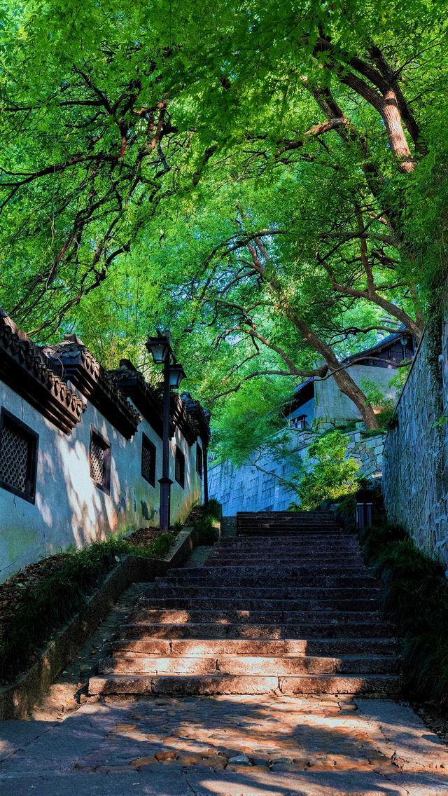 比起西湖，我更喜歡杭州這條小眾免費路線