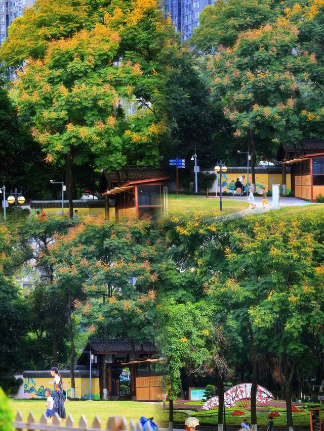 直達成都地鐵,塔子山公園,是個賞秋好去處。