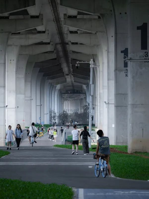 深圳城市建設的魅力❗