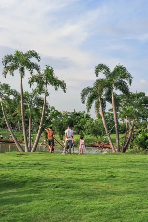 深圳日落海邊公園，浪漫無敵！🌅