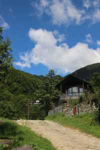 武功山歸來已老實 還得是被山野治癒