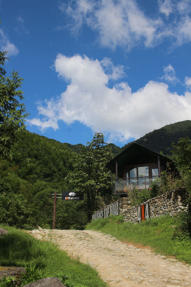 武功山歸來已老實 還得是被山野治癒