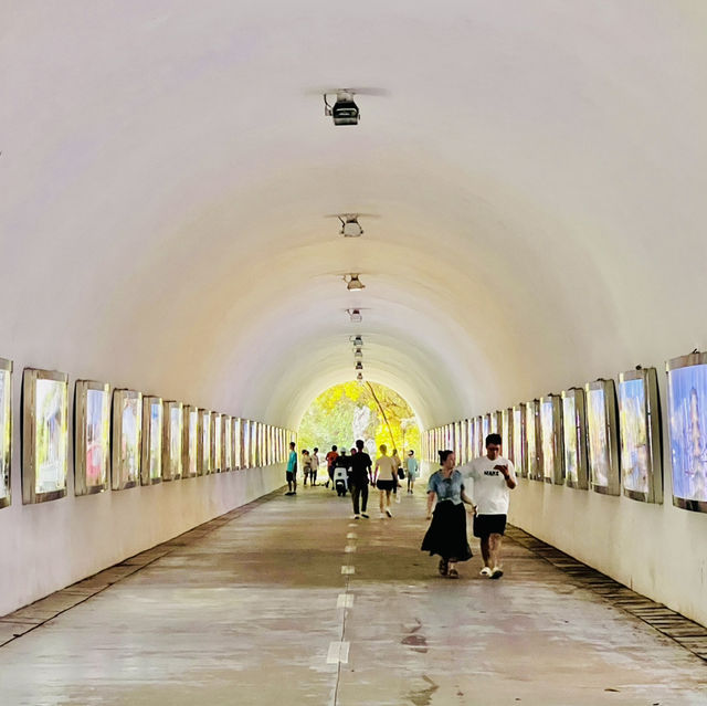 深圳園博園一日遊