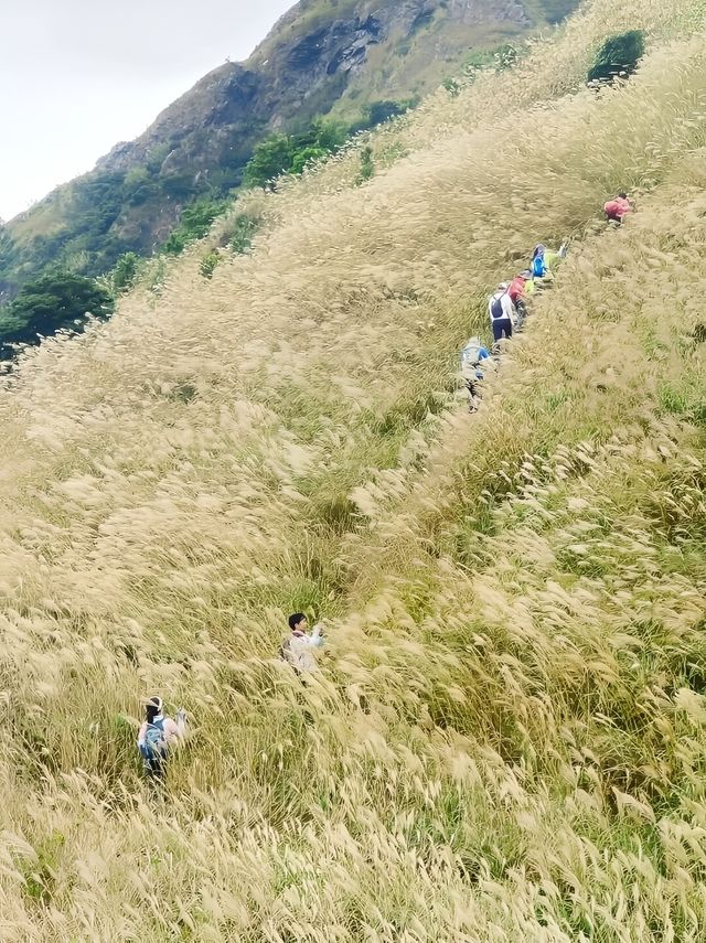 惠州大南山 惠州大南山