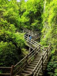 廣元曾家山——天然氧吧，享有溶洞王國和石林洞鄉之美譽。