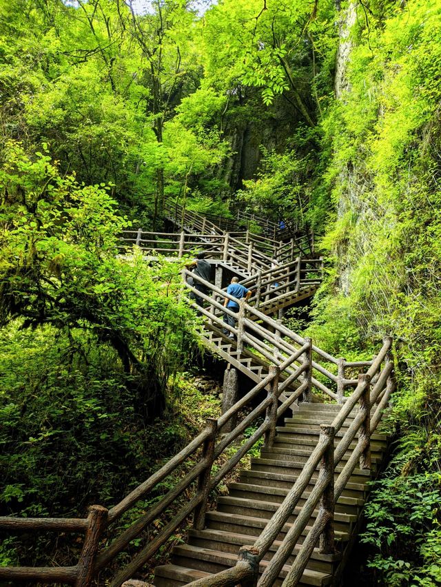 廣元曾家山——天然氧吧，享有溶洞王國和石林洞鄉之美譽。