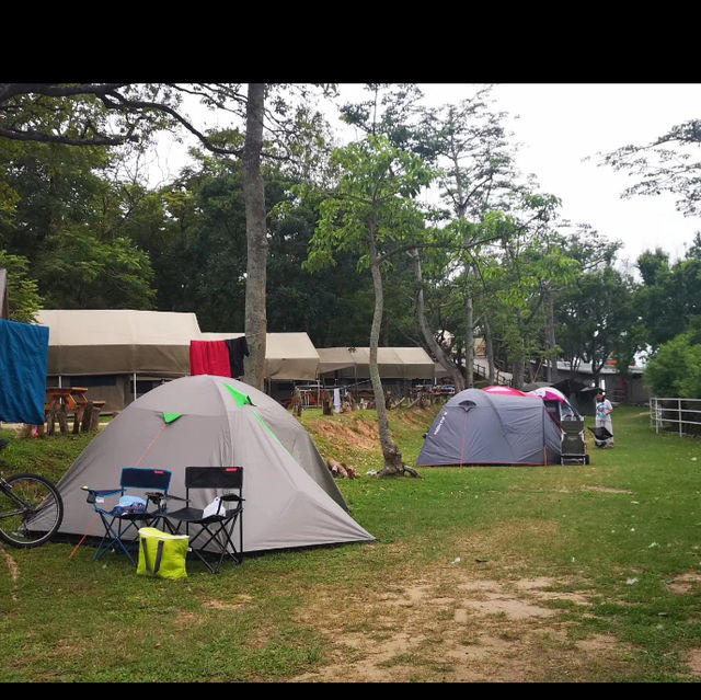 Camping in Hongkong farm 