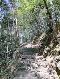 徒步榉根嶺古道丨千年古道丨國慶節避擁遊玩的好地方。