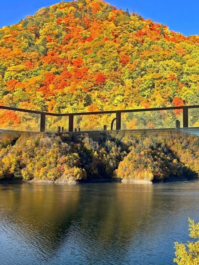 北海道的溫暖明珠 | 札幌定山溪溫泉之旅。