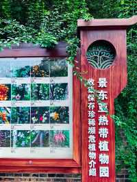 哀牢山谷‧無量景東！。