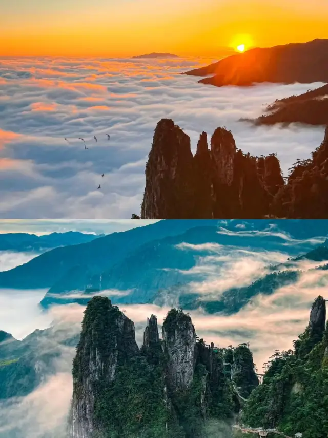 Mangshan Mountain.