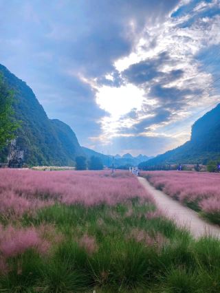 Changshun｜Shenquan Valley｜Pink autumn.