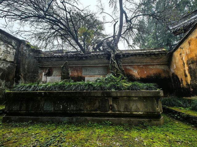 台州第八站——國清寺。