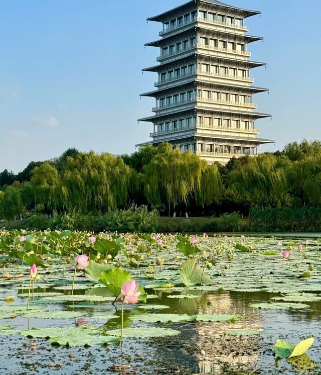 西安免費寶藏公園｜世博園。