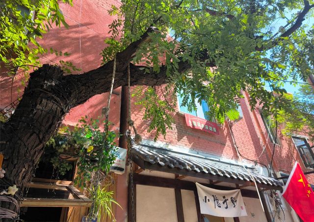 鄭州旅行攻略。