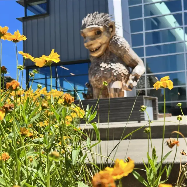 "Nordic Museum: A Nordic Gem in Seattle" 